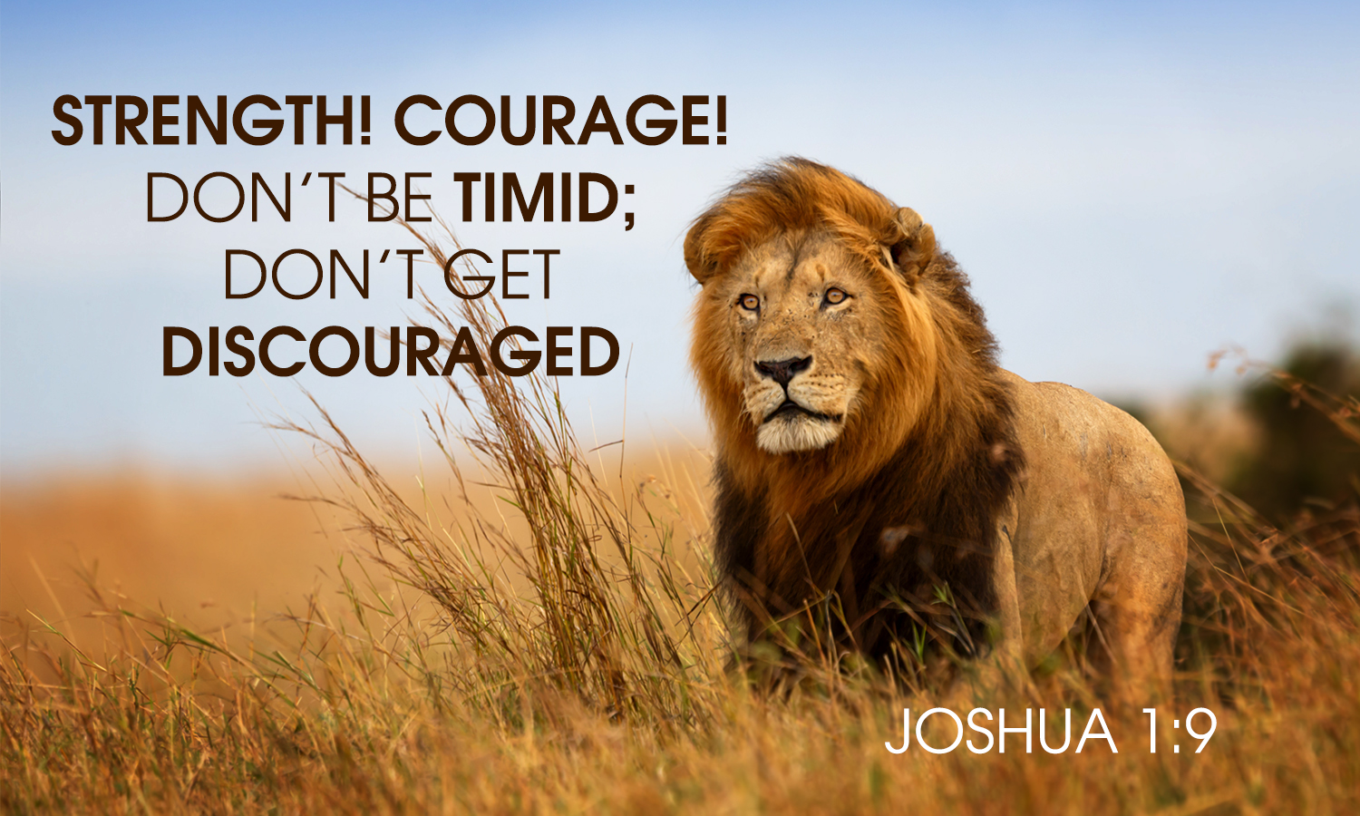 Joshua 1:9 Strength! Courage! Don’t be timid; don’t get discouraged.
