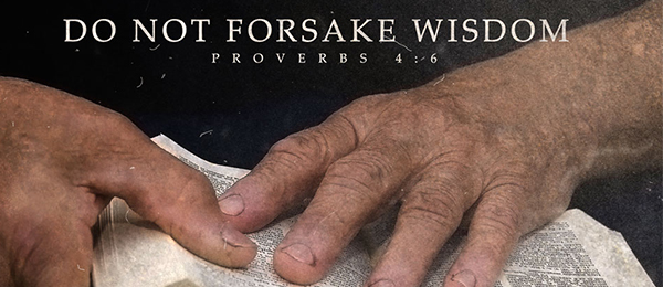 Proverbs 4:6  6 Do not forsake wisdom, and she will protect you; love her, and she will watch over you.