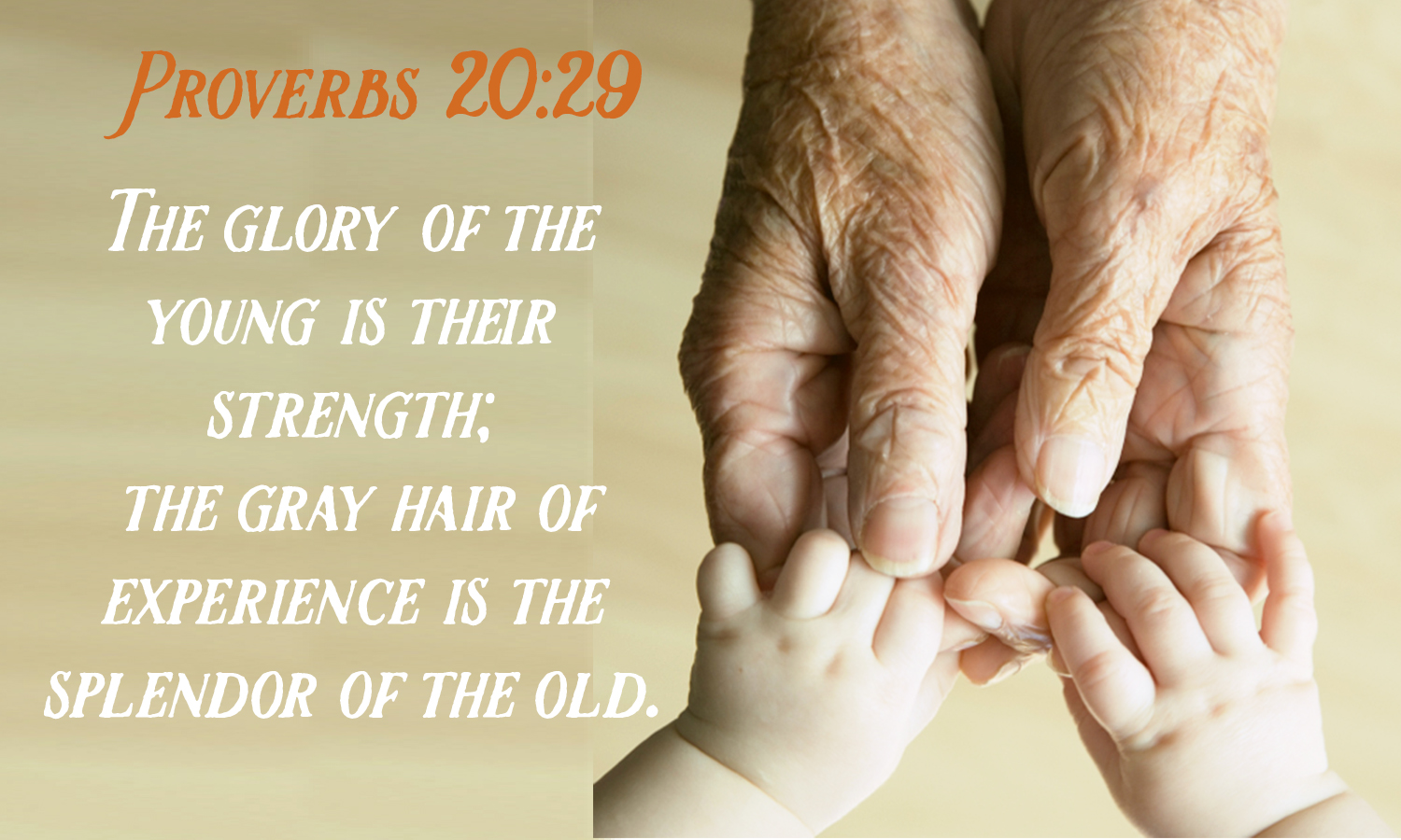 Proverbs 20:29

The glory of the young is their strength; the gray hair of experience is the splendor of the old.