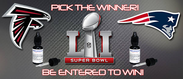 superbowl newsletter 2017