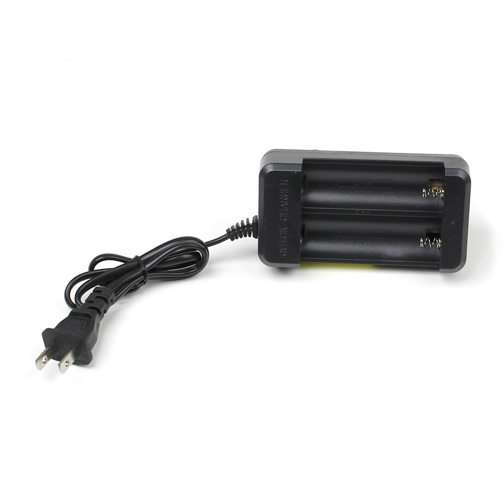 Ignite Quick Battery Charger
